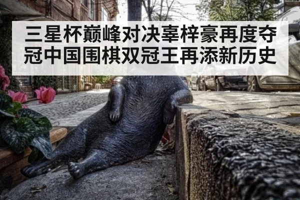 三星杯巅峰对决辜梓豪再度夺冠中国围棋双冠王再添新历史